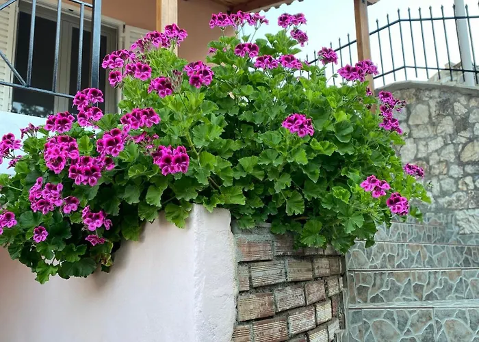 Tatil Evi Gkoros House Old Town *